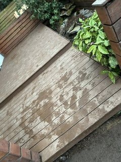 image11